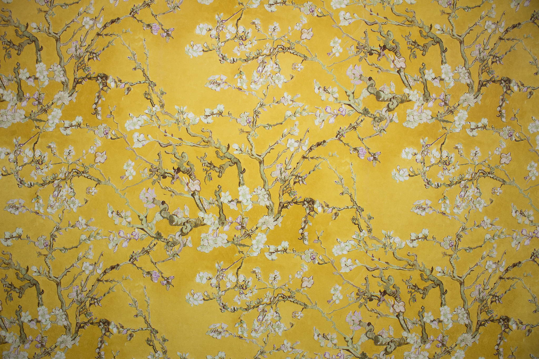 Pintura de flors d'ametller amb el fons groc