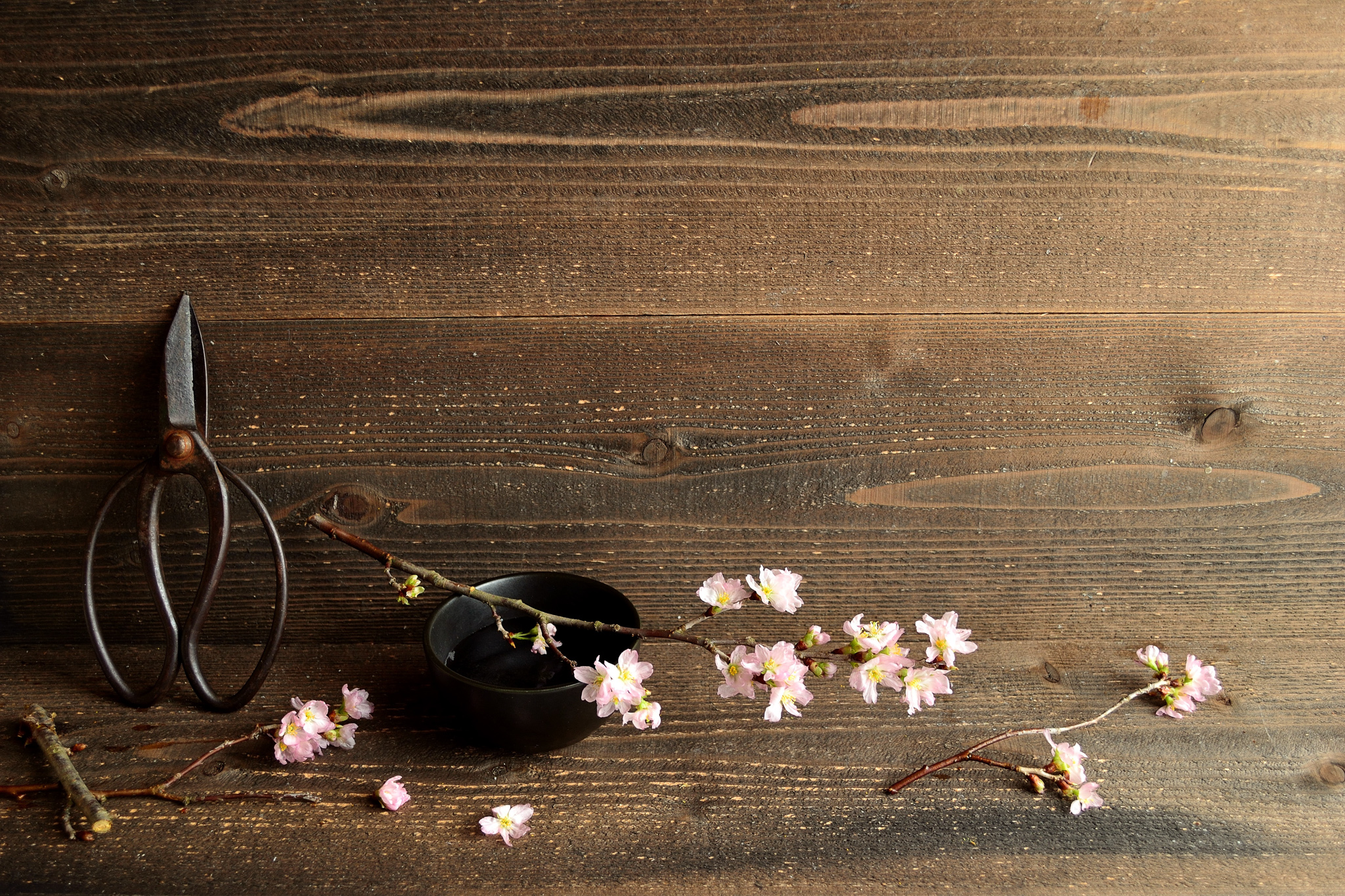 ikebana 