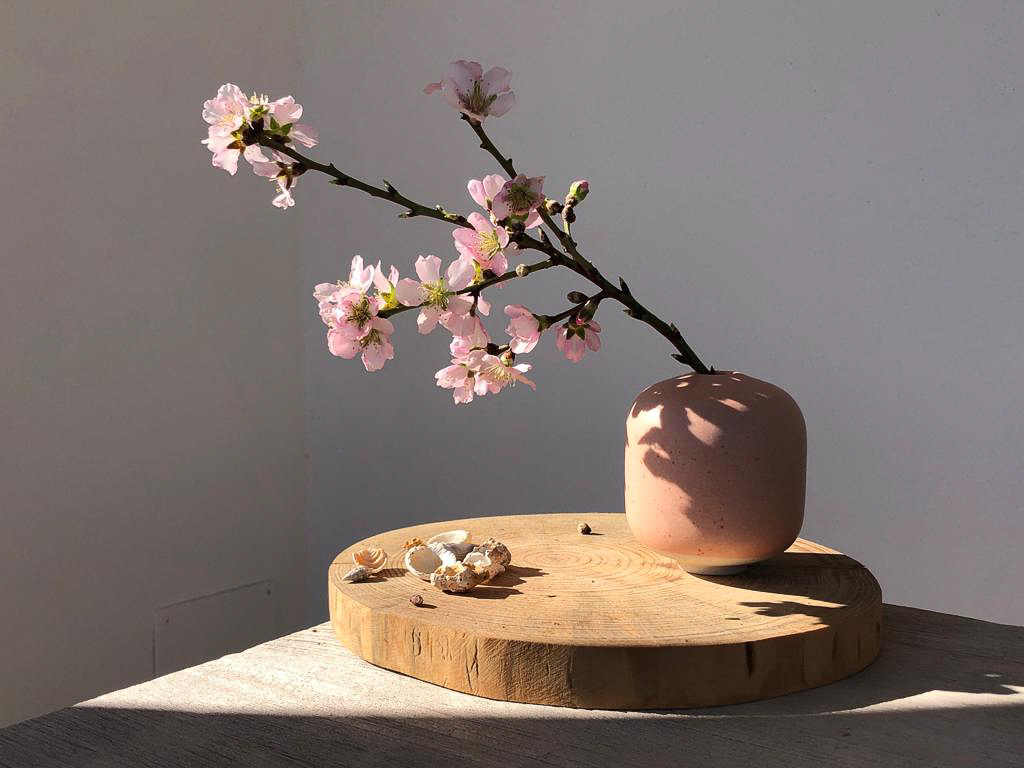 ikebana