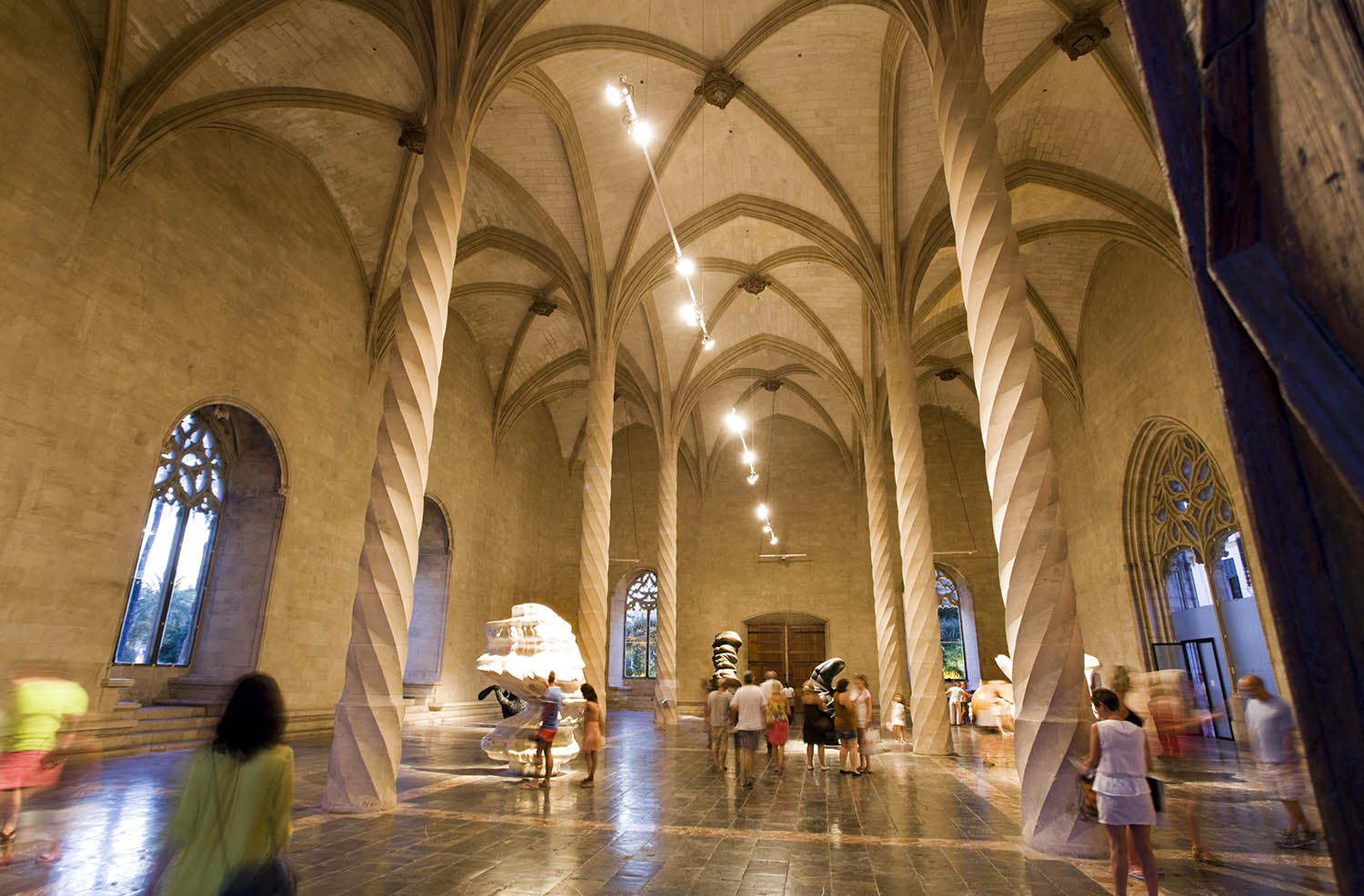 Lonja in Palma