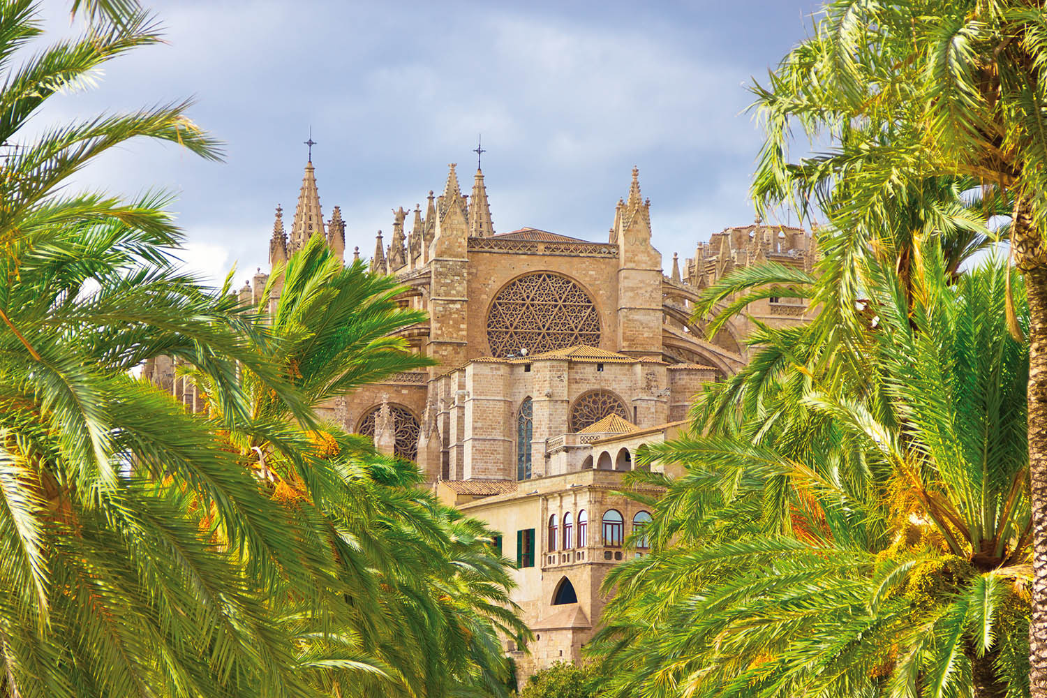 Mallorca Cathedral